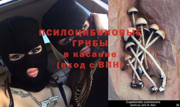 эйфоретик Алексин