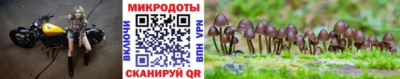 Галлюциногенные грибы мицелий  Анадырь 